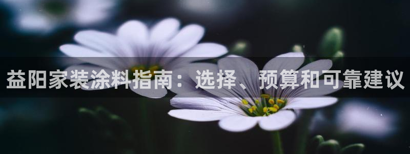 和记国际听